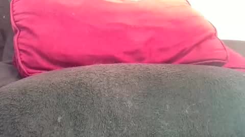 daddyy008 online show from November 7, 4:29 pm