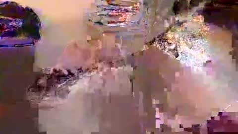 Snapshot of dafo1980 chatting on April 17, 12:30 pm dafo1980 online show from April 17, 12:30 pm