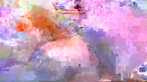 Snapshot of dafo1980 chatting on April 20, 12:19 pm dafo1980 online show from April 20, 12:19 pm