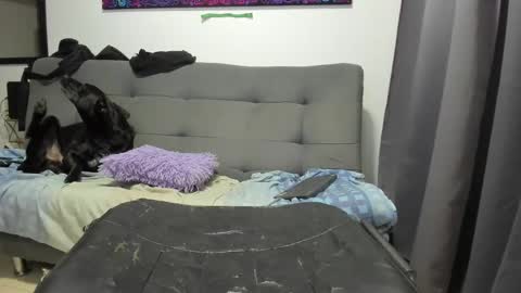 dahianna_27 online show from January 17, 8:45 am