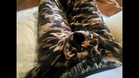 DailyJerker84 online show from November 23, 5:46 pm