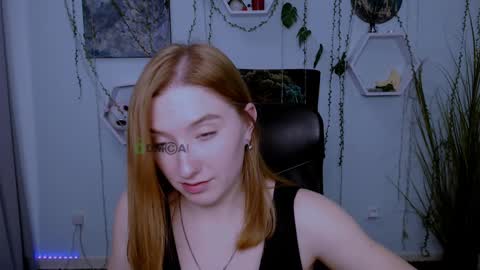 Little Di online show from January 24, 11:56 pm