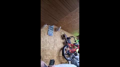 dave online show from April 22, 10:22 pm