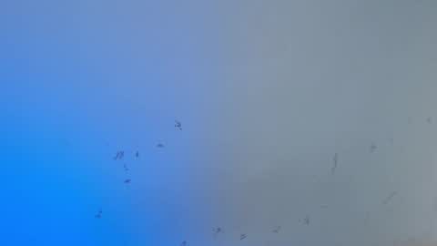 VALENTINA  online show from October 15, 8:03 am