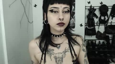 dakota online show from November 25, 2:44 am