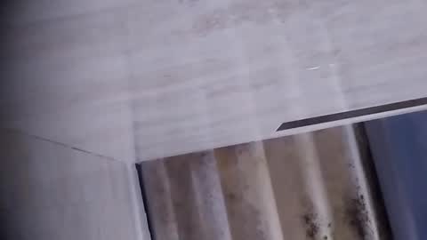 Dalila online show from September 18, 10:28 am