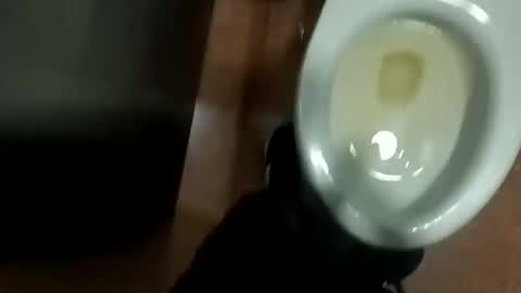 damian950 online show from April 12, 1:43 am