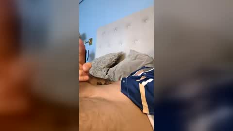 damianberr87 online show from July 22, 5:16 pm