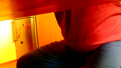 Dammerl online show from January 8, 10:48 am