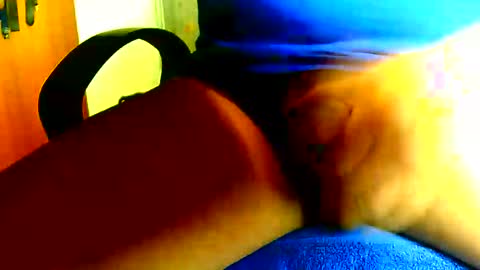 Dammerl online show from November 7, 10:59 am