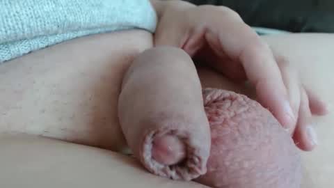 Damocles online show from November 1, 2:19 pm