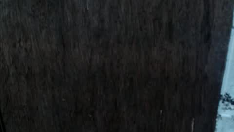 Snapshot of dangerouscock69_nica chatting on October 2, 8:54 am Nica online show from October 2, 8:54 am