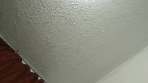 dani_42017 online show from October 12, 1:15 am