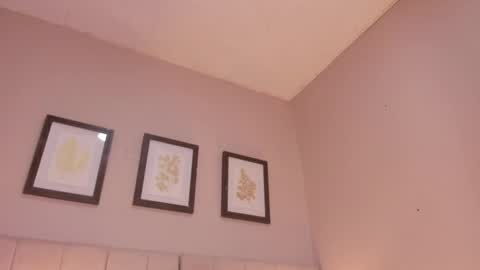 Hi I am Dani online show from May 5, 11:40 am