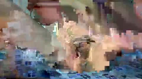 Snapshot of daniel_griffin chatting on May 20, 6:47 pm daniel_griffin online show from May 20, 6:47 pm
