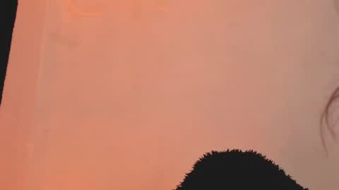 Snapshot of daniela_rivasthl chatting on March 18, 4:48 am daniela_rivasthl online show from March 18, 4:48 am