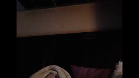 Snapshot of daniellbisous chatting on February 16, 9:05 am daniellbisous online show from February 16, 9:05 am