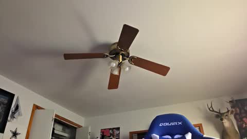 Daniel    y. online show from October 22, 11:15 pm