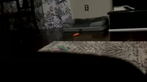 Snapshot of dannyboy621 chatting on October 20, 9:43 am dannyboy621 online show from October 20, 9:43 am