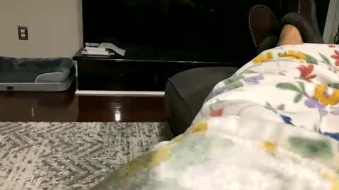 Snapshot of dannyboy621 chatting on October 30, 9:33 am dannyboy621 online show from October 30, 9:33 am