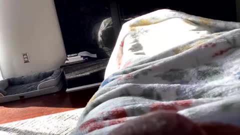 Snapshot of dannyboy621 chatting on November 6, 1:56 pm dannyboy621 online show from November 6, 1:56 pm