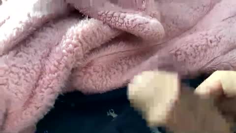 Snapshot of dannyboy621 chatting on November 10, 2:16 pm dannyboy621 online show from November 10, 2:16 pm