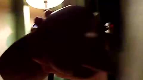 dano9696 online show from November 1, 10:28 am