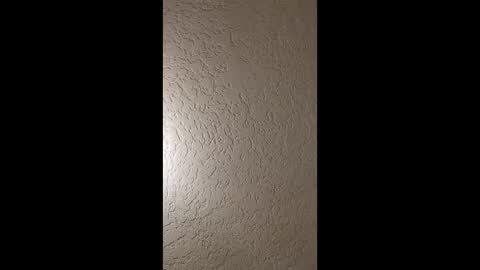 dano9696 online show from January 19, 5:44 am