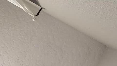 dano9696 online show from February 23, 7:28 am