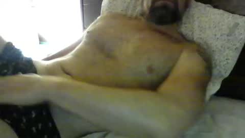 danroof2023 online show from January 30, 11:11 am