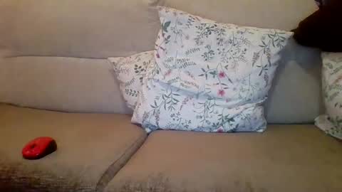 Snapshot of danydotado chatting on December 21, 7:38 pm danydotado online show from December 21, 7:38 pm