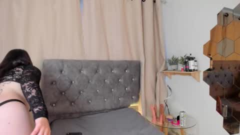 Daphne online show from January 15, 12:43 pm