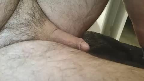 dapppper online show from February 22, 2:24 am