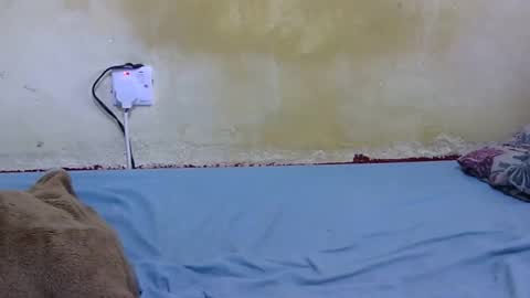 dark_princess1 online show from February 13, 9:05 am