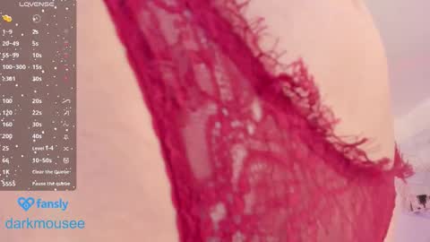 Snapshot of darkmousee chatting on December 3, 1:20 pm Grace online show from December 3, 1:20 pm