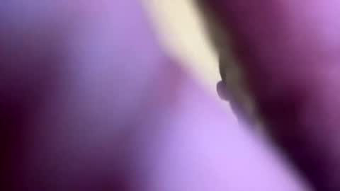 dasquirtmaster online show from May 23, 6:56 pm
