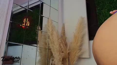 daviana_hill online show from February 6, 11:57 am