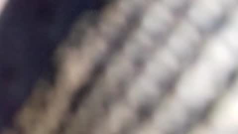 Snapshot of david_stone1969 chatting on January 23, 1:56 pm david_stone1969 online show from January 23, 1:56 pm