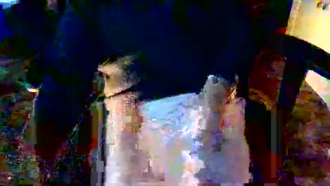 Snapshot of davidneedmore chatting on March 3, 2:34 pm davidneedmore online show from March 3, 2:34 pm