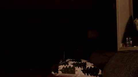 Dax online show from February 12, 5:46 am