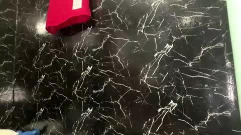 Snapshot of daylebellman chatting on April 12, 3:50 pm May online show from April 12, 3:50 pm