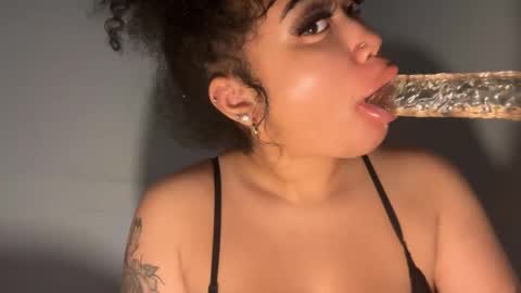 Snapshot of dayqueen1 chatting on December 3, 1:20 pm dayqueen1 online show from December 3, 1:20 pm