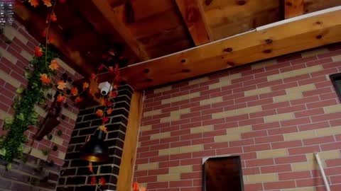 DAYRA ANGELS online show from December 1, 11:58 pm
