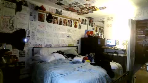 dbeamon92 online show from March 8, 2:04 am