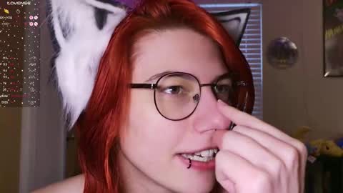 Rat online show from February 17, 3:40 pm