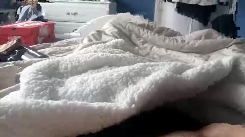 deano2105 online show from March 15, 11:16 am