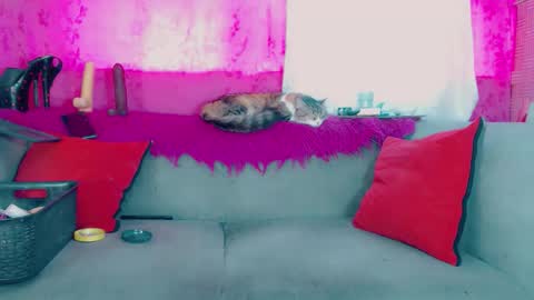 Snapshot of deboragill chatting on March 13, 10:05 pm deboragill online show from March 13, 10:05 pm