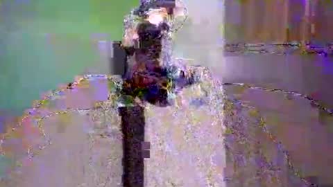 Dee4dayz online show from June 1, 1:51 am