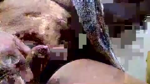 Dive Deep online show from December 15, 6:45 pm