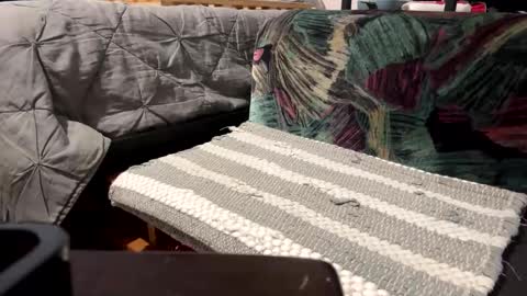 deknaux online show from February 1, 5:05 pm